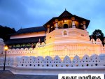 IMG_0710.jpeg