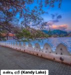 IMG_0711.jpeg