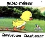 IMG_3197.jpeg